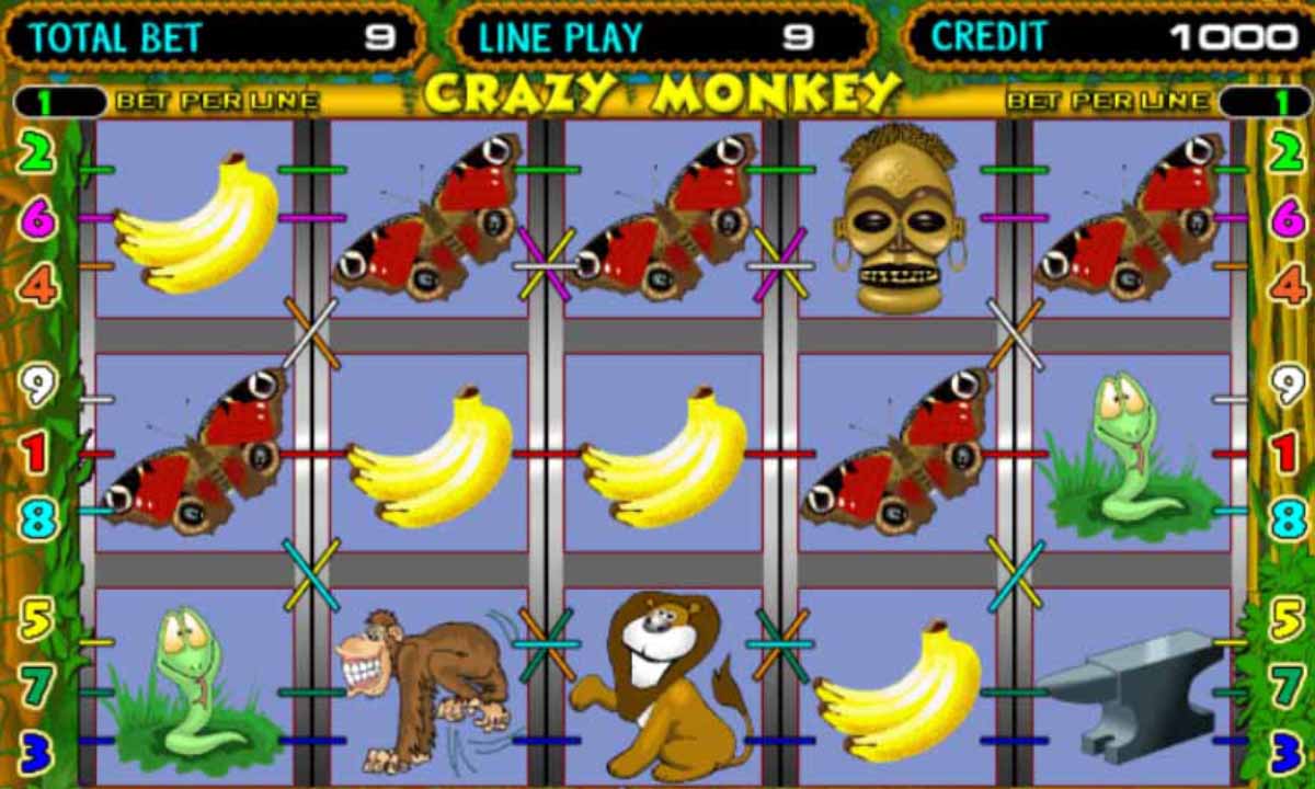 Crazy Monkey