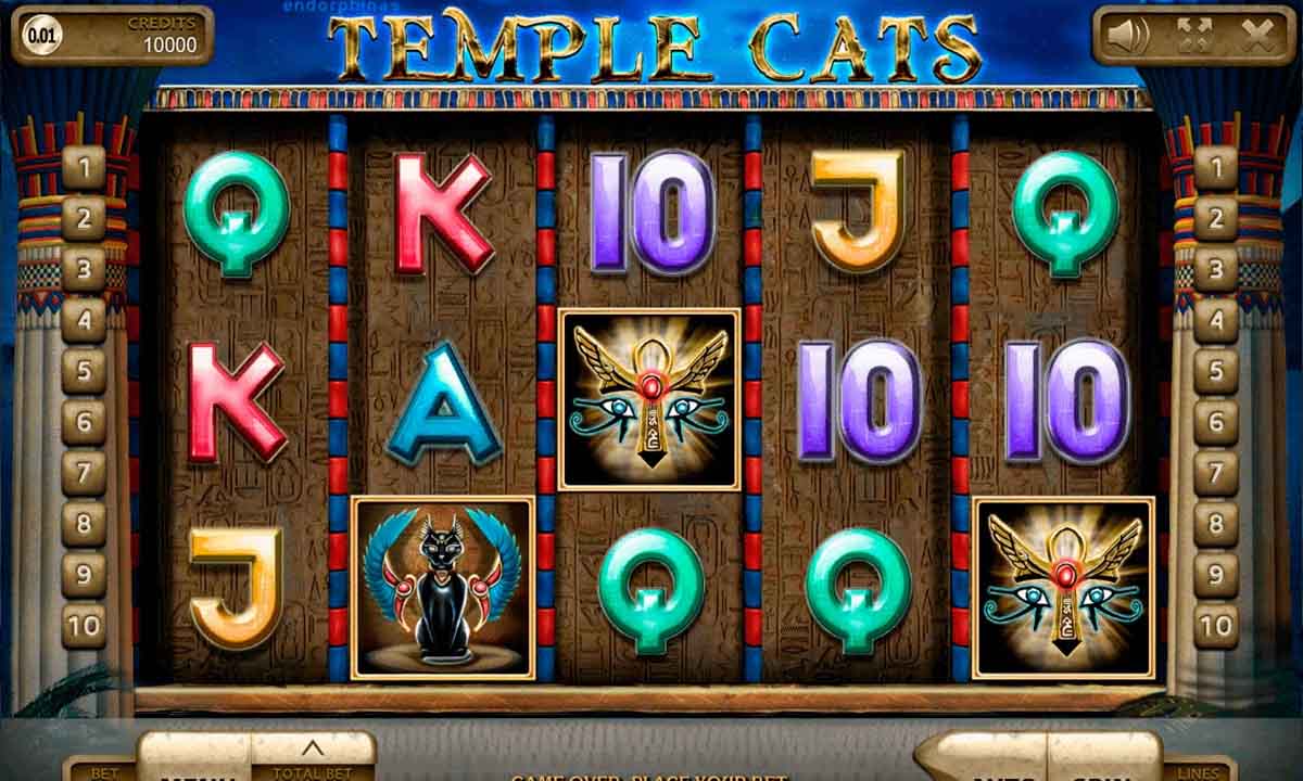 Temple Cats